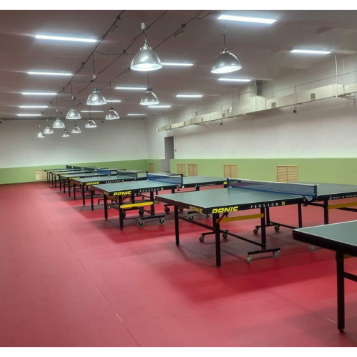 Линолеум спортивный Спортфлор Table Tennis GEM 4,5 мм для настольного тенниса